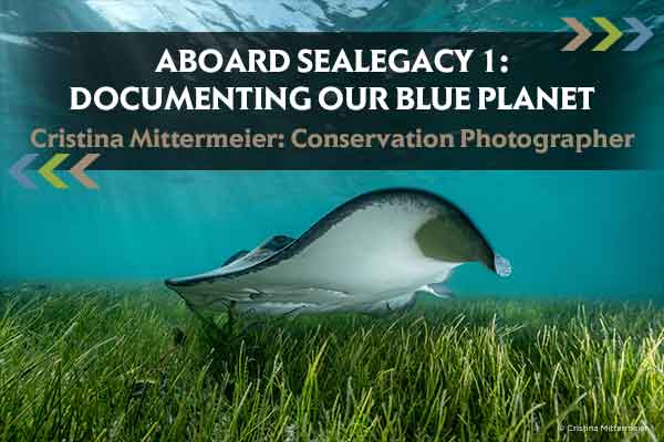  Aboard Sealegacy 1: Documenting Our Blue Planet