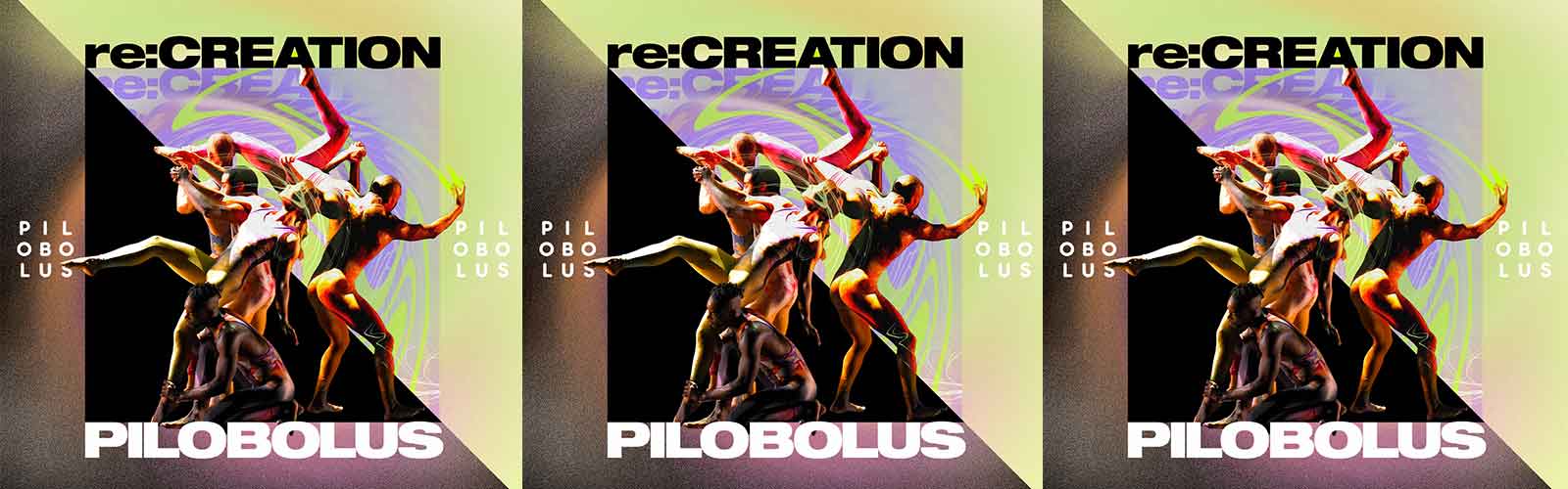 Pilobolus re:CREATION
